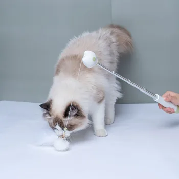 

Pet Cat Laser Light Toy Kitten Flexible Cat Stick Feather Toy Telescopic Interactive Toy Tease Cat Stick Laser Pen Pet Supplies