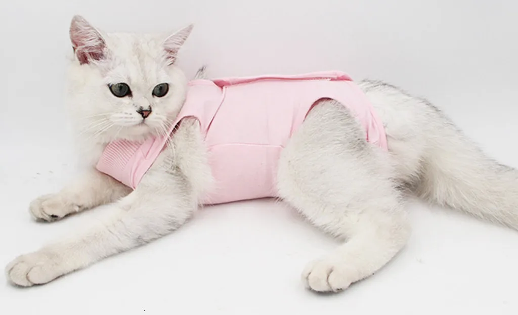 Жилеты для кошек блуза с принтом Кошки Мягкая Хирургическая Одежда для кошек медицинский хирургический костюм для домашних животных рубашка для кошек жилет аксессуары для домашних животных