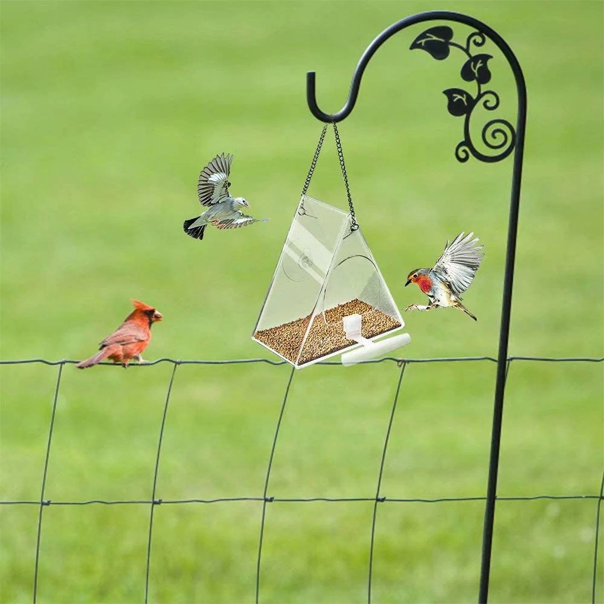 Mangeoire triangulaire transparente pour oiseaux, récipient