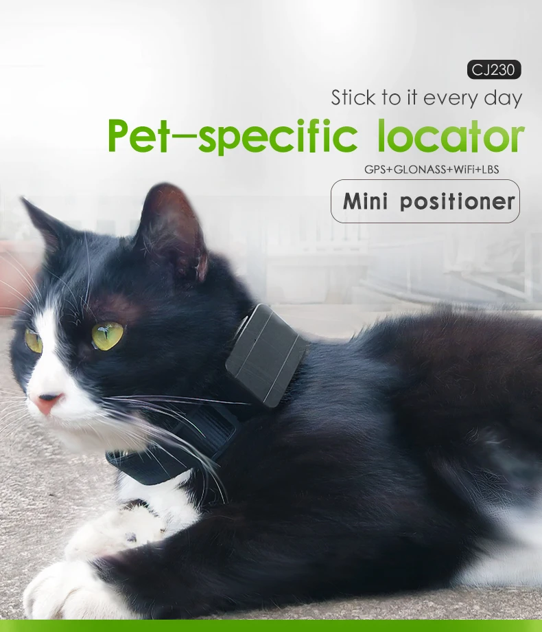 Mini rastreador GPS 2G para perros y gatos. Localizador de mascotas con función antipérdida. Monitor de voz.