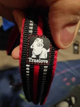 Collar Pet-Leash Reflective Truelove Dog In-Harness Walking-Training 11-Color Nylon Mesh