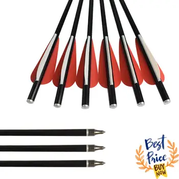 

12X Crossbow Bolt Fiberglass 3" Plastic Vane Flat Knock 100 Grain Screw Point Hunting Archery Bow Outdoor Bolts