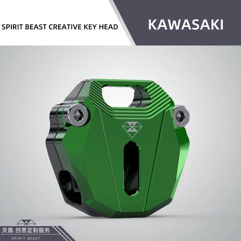 Дух зверя чехол для ключей от мотоцикла Крышка корпуса для Kawasaki Ninja250 Ninja400 Ninja650 Z1000 Z800 Versys650 KLE650 Zzr400 Zzr1200 - Цвет: Зеленый