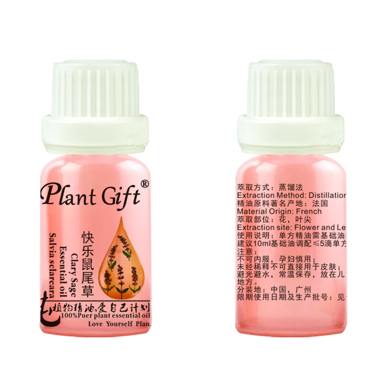 快乐鼠尾草模板前后