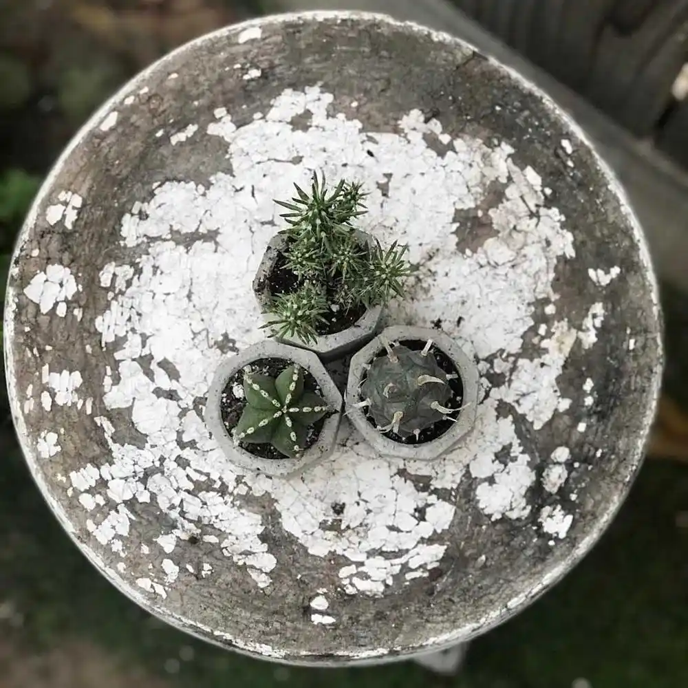 Kerzenformen Sukkulente Pflanzenvase Gips Zementformen Beton Tonform winnerruby Polygonale Pflanze Blumentopf Silikonformen Wachsgussform F/ür DIY Crafting Making
