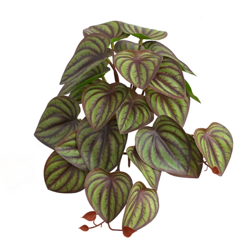 Realistic Tropical Terrarium Plants with Diverse Leaf Styles