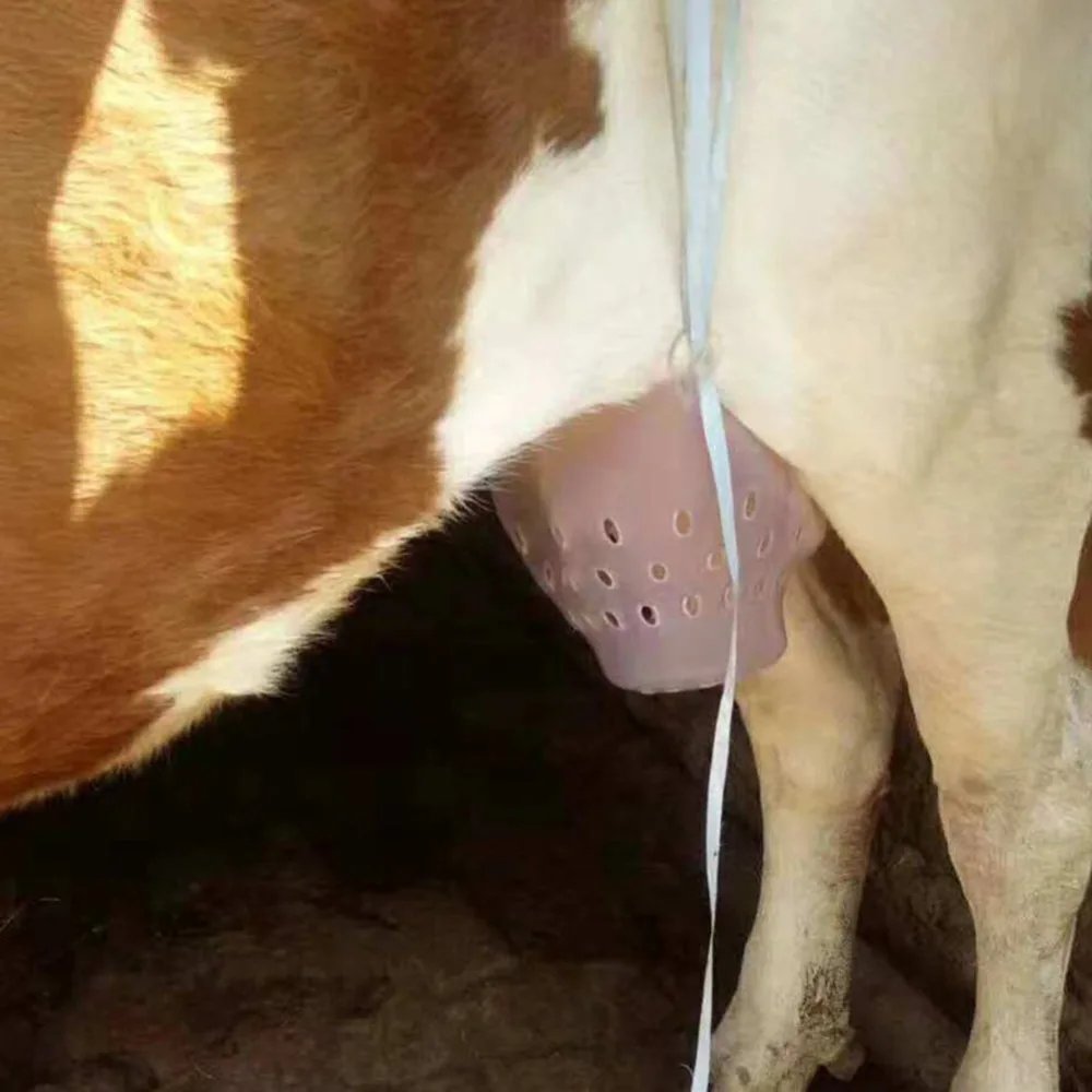 9640569043_372842210