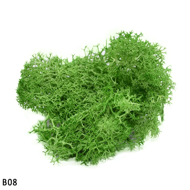 Image 14