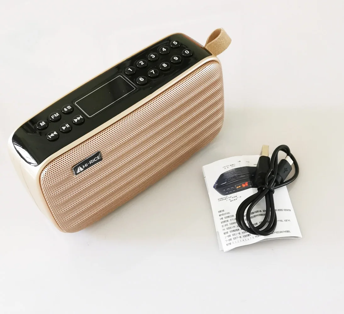 REC светодиодный портативный FM/AM радио USB TF карта MP3-плеер цифровой динамик bluetooth Hi-Rice SD-112