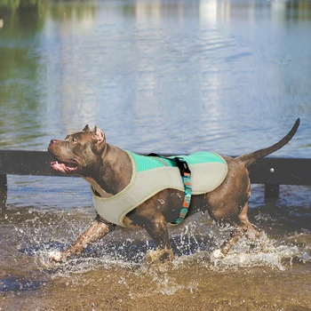 

Pet Cooling Vest Summer clothes for Small and Big dog mesh vest dog harness reflective belt Harnesses dog accessories Breakaway
