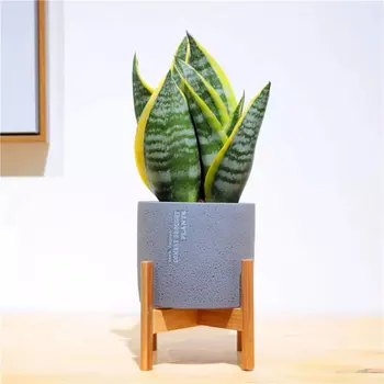 

Indoor Solid Wood Planter Stand With Flowerpot For Home Garden Balcony Decor - Grey/Black