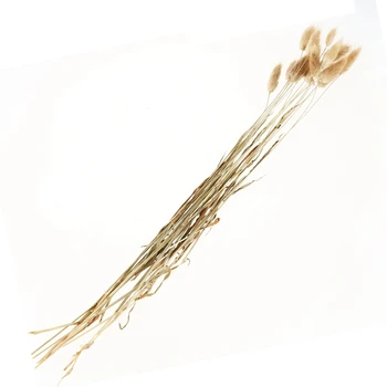 

New 20 Stems Dried Flower Bunny Tail Natural Plants Floral Rabbit Grass Bouquet Home Decoration Accessories Photo