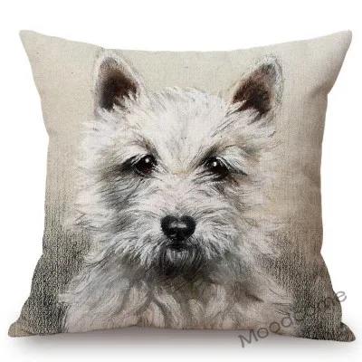 conew_n387 (30) 副本