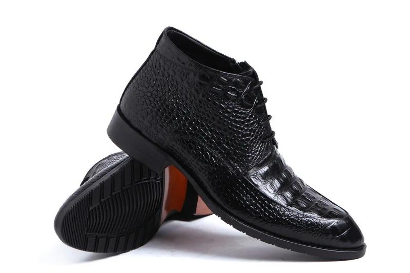 3404525438_1257755034