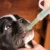 Pet Dog Cat Tablet Pill Gun Piller Push Dispenser Medicine Water Syringes Feed Удобный Прочный Аксессуар Для домашних животных Медицинский шприц
