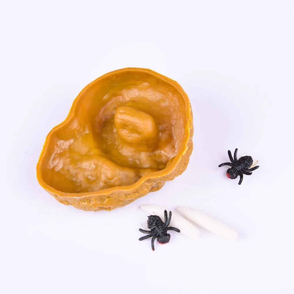 IMG_8951(20200818-092256)