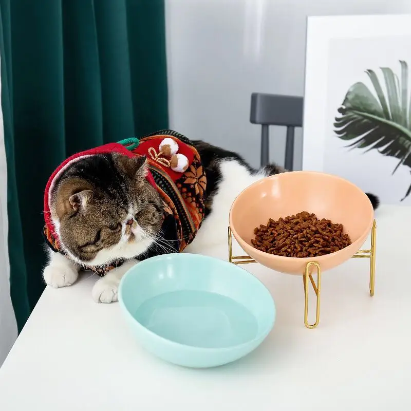 Metal frame polychrome ceramic pet bowl cat dog food water | Дом и сад