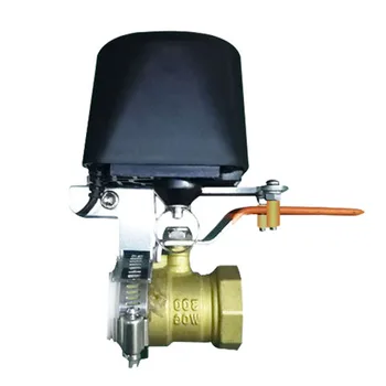 

HFES Valve Smart Water/Gas Valve Smart Home Automation Control Work with Alexa,Google Assistant,IFTTT Power By Tuya UK Plug