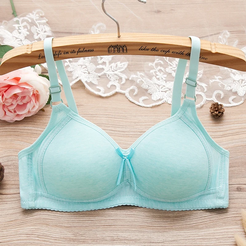 

Women Seamless Push Up Bra Sexy Front Button Closure Bra Underwear Female Small Chest Underwire Bras