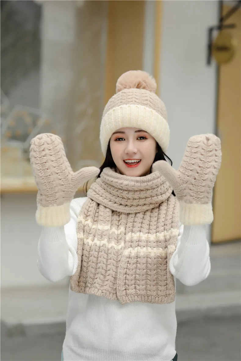 21013987262_221236305