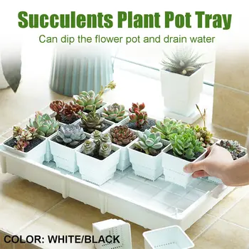 

Plastic Garden Pots Tray Bonsai Seedling Nursery Pots Stand Base Succulents Drain Growing Holder Rectangular Pallet 2 Colors