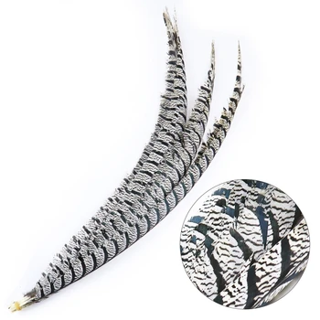 

10/50/100PCS Wholesale Natural Pheasant Tail Feathers For Crafts Zebra feather Wedding Carnival Plume Diy 80-90 CM/31-35 Inch