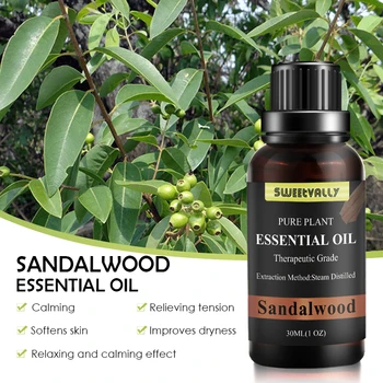 

30ML Massage Essential Oil Cinnamon Frankincense Eucalyptus Essential Oil100% Organic Oil Body Relaxation Relieve Stress Anxiety