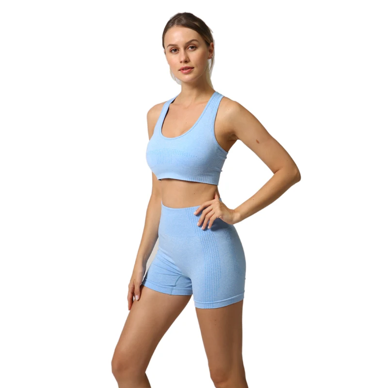 Women Seamless Leggings Yoga Set 2pcs/set Gym Clothes Sports Bra Shorts