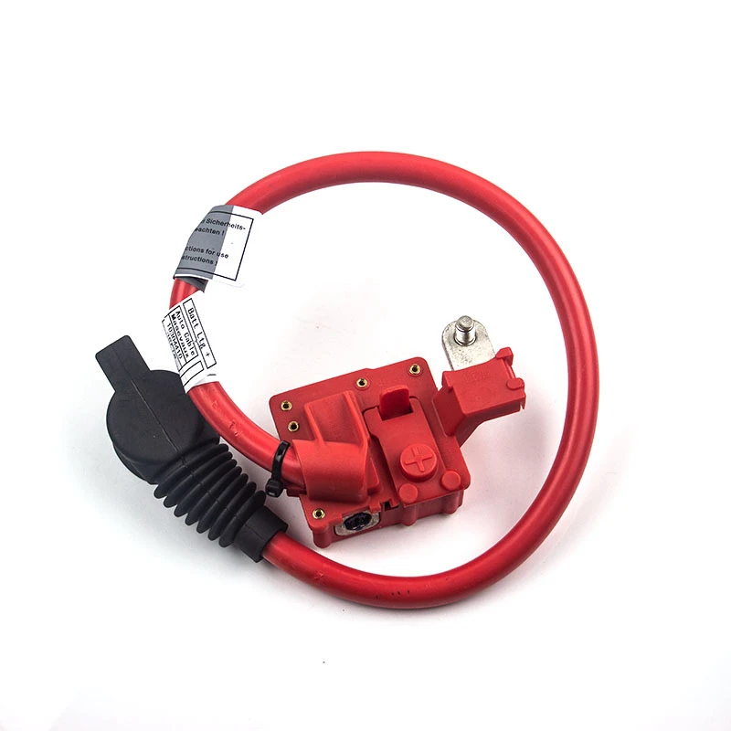 Cable positivo de conexión batería para coche, piezas de repuesto automotriz 61129217033, Cable de batería para BMW 740Li 750i 760Li F01 F02| Cables pasacorriente| - AliExpress