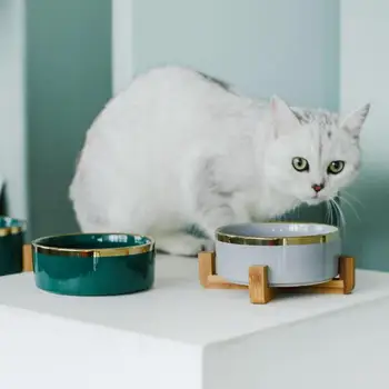 

TECHOME High Grade Ceramic Cat Bowl Pet Eating Bowl Cat Feeder Gold Line Porcelain Dog Bowl Pet Water Bowl Popular Pet Supplies