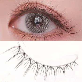 

Japanese Transparent False Eyelashes, Natural Nude Makeup, Eyelashes Practice，Without Makeup Practice Beauty Tools 5 Pair