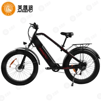 

[MYATU] Electric bike 20inch Aluminum Folding electric Bicycle Powerful 48V Battery Mountain ebike Snow/beach/city e bike