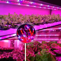 5 м водонепроницаемый полный спектр светодиодный светильник для выращивания растений Гидропоника теплица внутренняя Светодиодная лампа