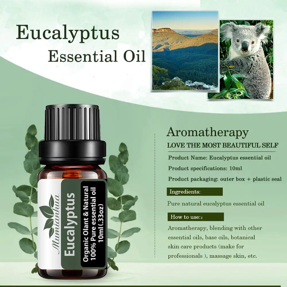 Eucalyptus Essential Help Alleviate Nervous,calm Mind Reflection 100