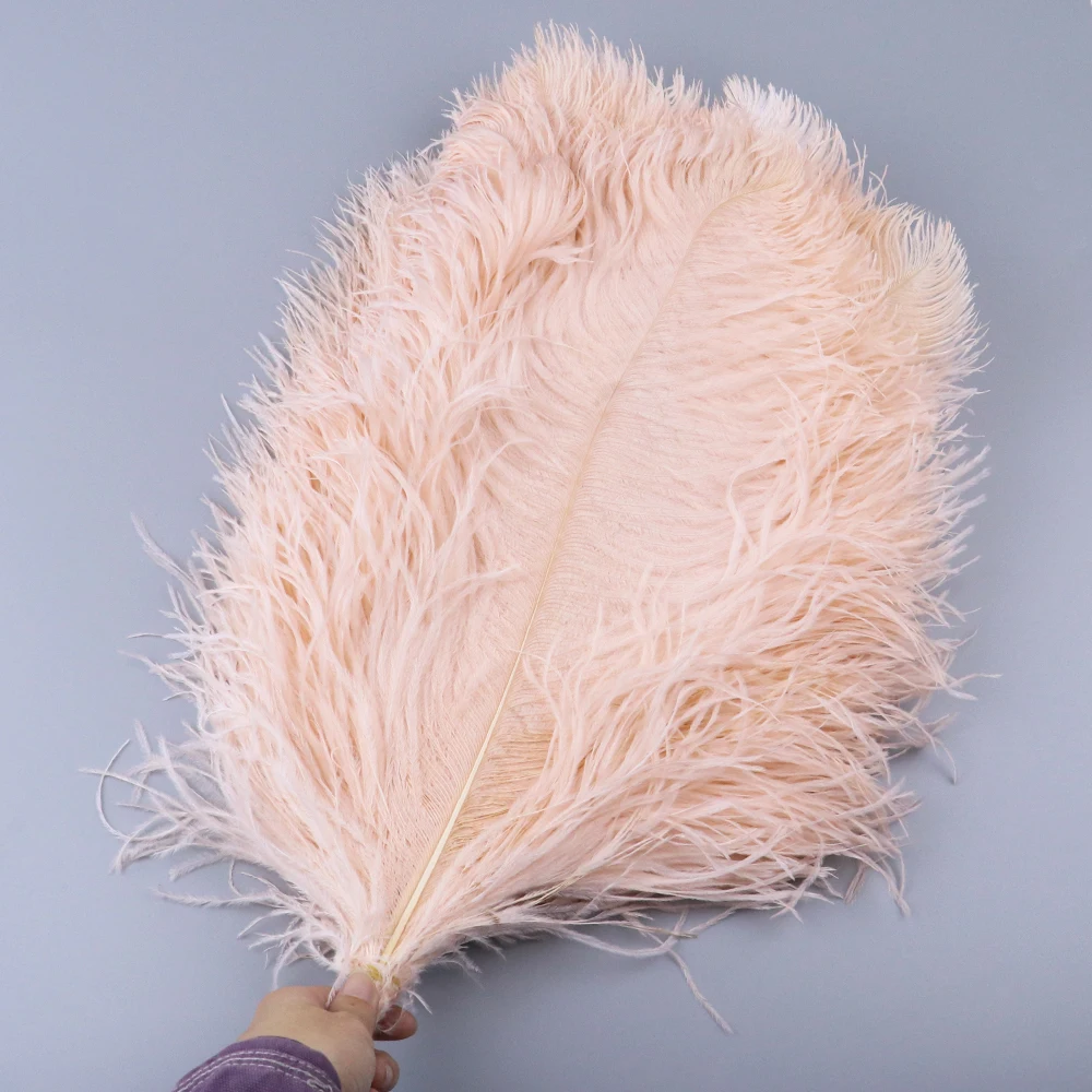 TS0145019 45-50cm ostrich feathers 4