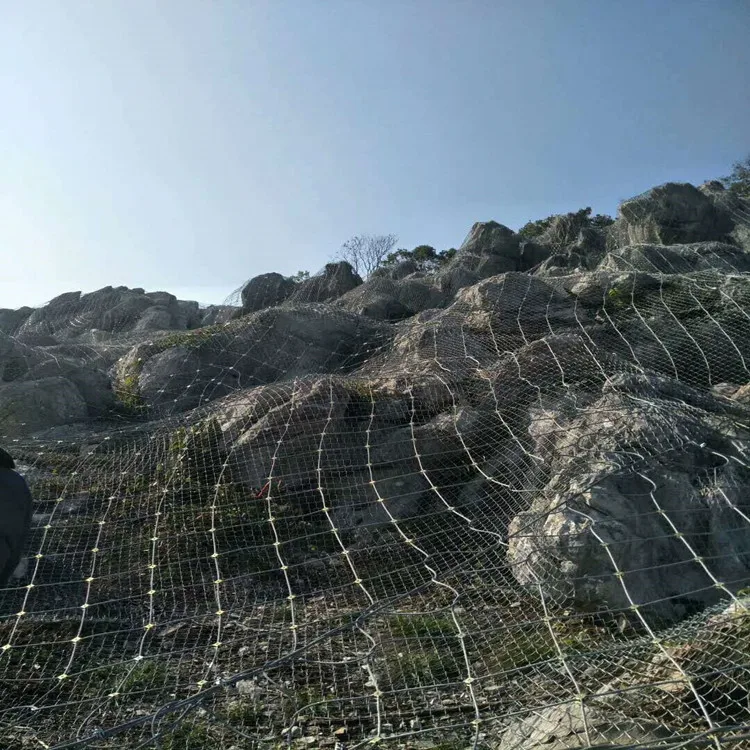 

A Large Amount Currently Available National Standard GAR2 Type SNS-Shaped Slope Protect Active Protective Mesh Subgrade Safety N