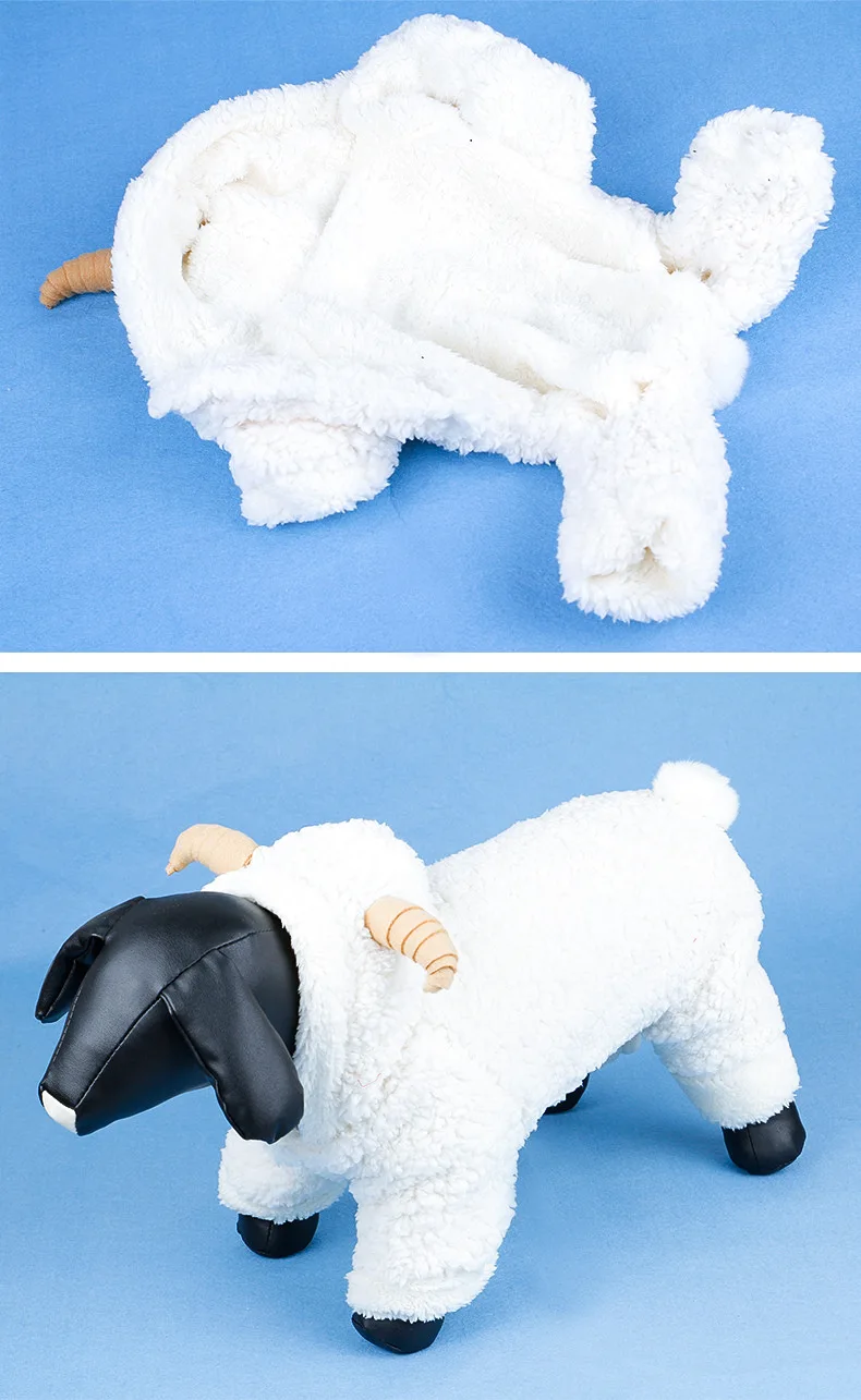 9437600888_906868034