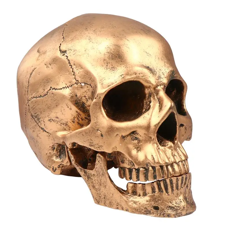 para enseñanza médica anatómica Modelo de resina de cráneo humano 1 1 modelo de hueso de cabeza de cráneo de tamaño natural 21x16x12cm Réplica de esqueleto Decoración de fiesta de Halloween 