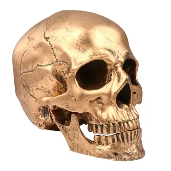 Halloween czaszka realistyczny wygląd czaszka ludzki szkielet czaszka Model z żywicy czaszka z żywicy ludzki Model czaszki zaopatrzenie na przyjęcie halloweenowe tanie i dobre opinie Jednolity kolor Skull Model Na imprezę