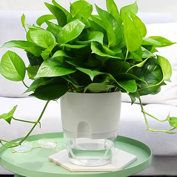 

2 Layer Self Watering Round Plant Pot With Cotton Rope Flower Planter With Water Container