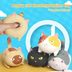 Poupée de bureau anti Stress pour animaux domestiques, chats en colère, boule de musique, anti Stress, chiens, cadeau pour enfants 