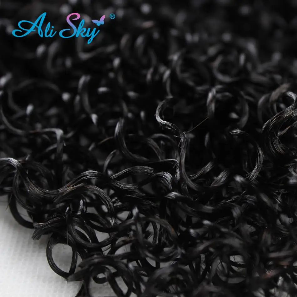 Alisky Malaysian Curly Hair Bundles Kinky Curly Bundles Brazilian Remy Hair Extensions Human Hair Bundles Raw Indian Hair Bundle