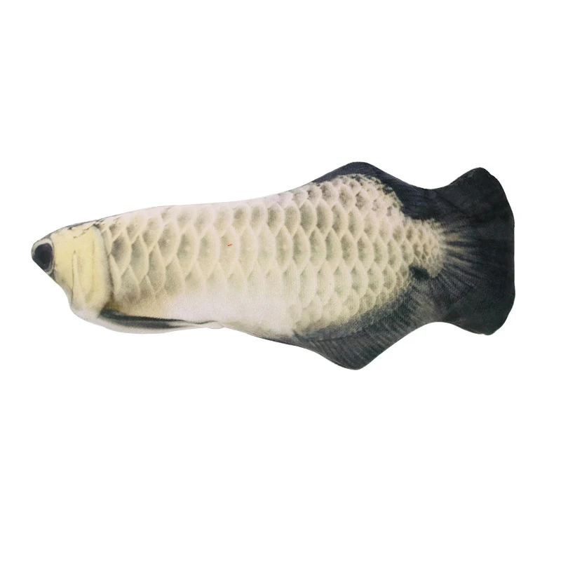 Silver Arowana