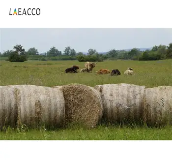 

Laeacco Farm Country Hay Bundle Grassland Animal Photography Backgrounds Customized Photographic Backdrops For Photo Studio