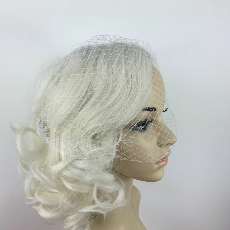 Wedding Bridal Birdcage Women Face Veil White Fascinator With Hair Comb Clips Wedding Bridal Birdcage Women Face Veil White Fascinator With Hair Comb Clips