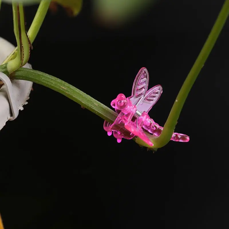 

Dragonfly Orchid Clips Orchid Grower Support Cute Garden Plant Flower Vine Support Clips 30Pcs