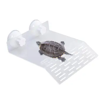 

Acrylic Turtle Dock Basking Platform Floating Turtle Pier With Suction Cups Reptiles Habitat Decor Turtle Playing Stand Rack