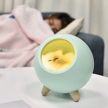 

Creative Cute Cute Cute kitten pet house night light cute kitten bedside lamp USB charging touch atmosphere lampDesktop storage