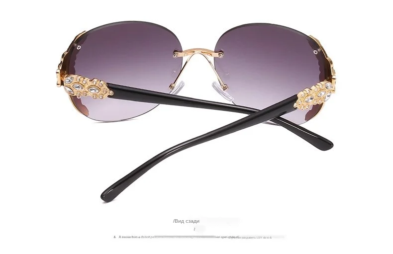 7881943987_1047298143_