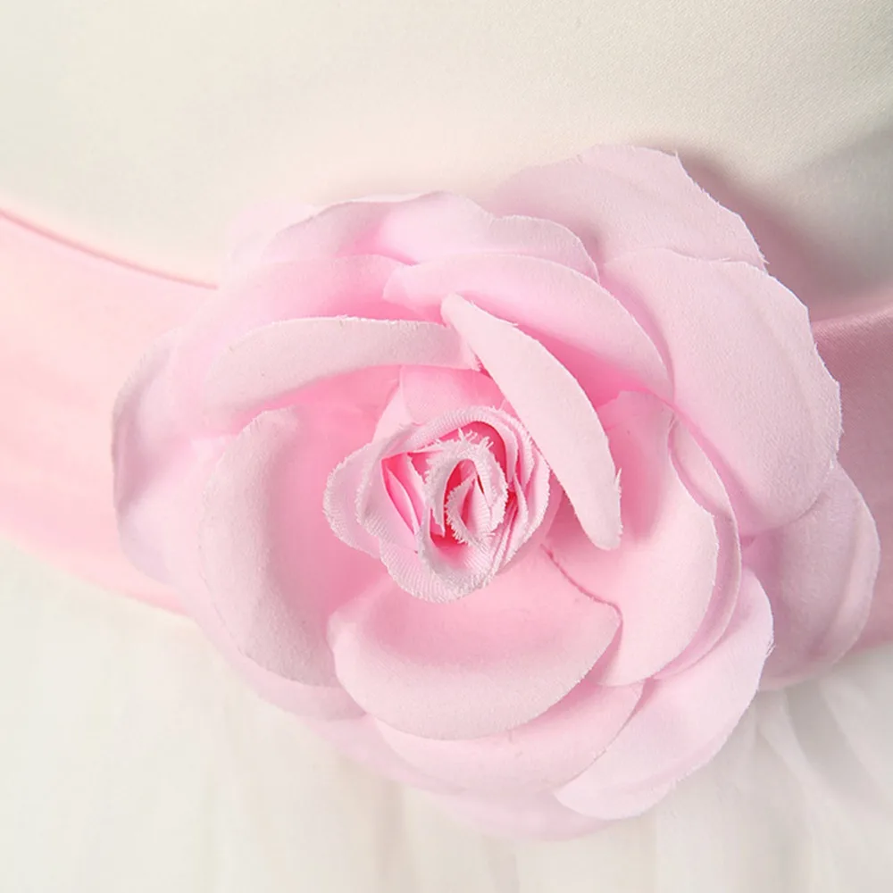 2728887955_1012239195